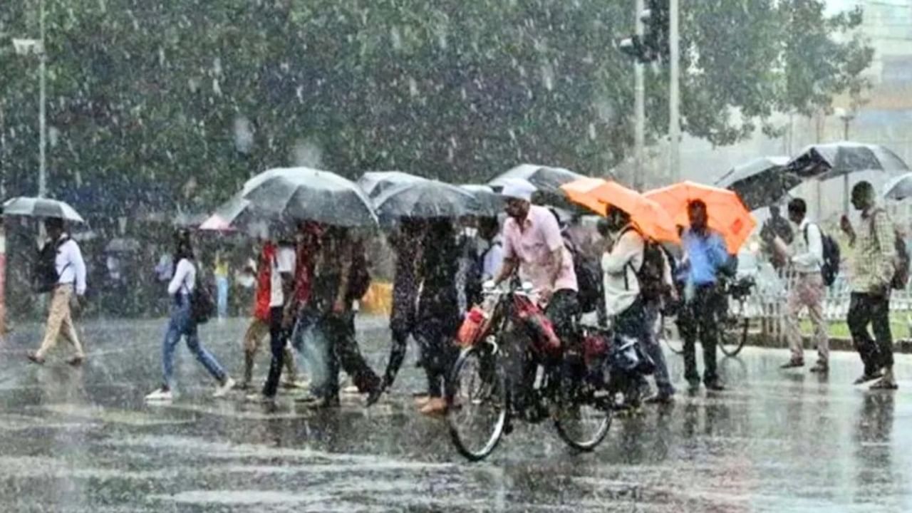 IMD warns of heavy rain in Kerala, Assam; check weather forecast of your state IMD warns of heavy rain in Kerala, Assam; check weather forecast of your state