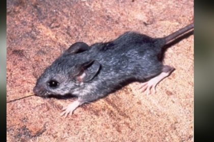 Why Rajasthan Development Authority shuts two heritage sites for two days?