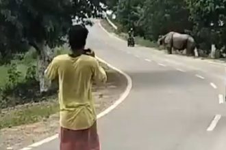 Caught on Cam: Man chased, mauled to death by rhino in Assam’s Morigaon – VIDEO