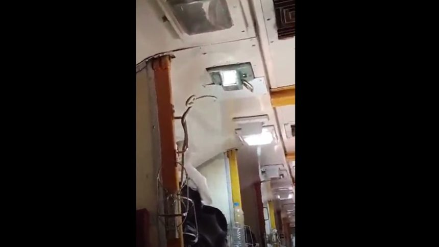 Chaos after snake spotted on Jabalpur-Mumbai Garib Rath Express train | Video