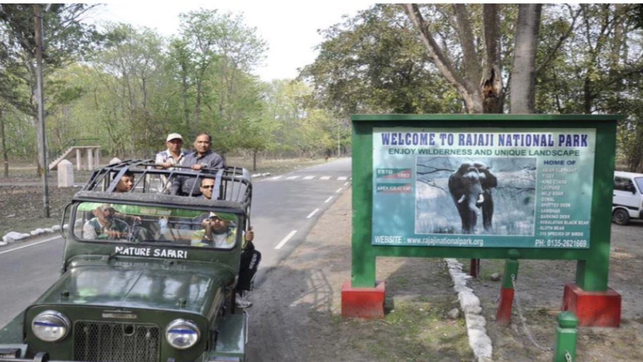 Uttarakhand govt ousts IFS officer Rahul as Rajaji National Park director, SC dismisses petition
