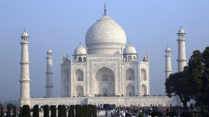 From white marble to green garden: Taj Mahal’s main dome sprouts ‘unwanted’ plants 1 From white marble to green garden: Taj Mahal’s main dome sprouts ‘unwanted’ plants