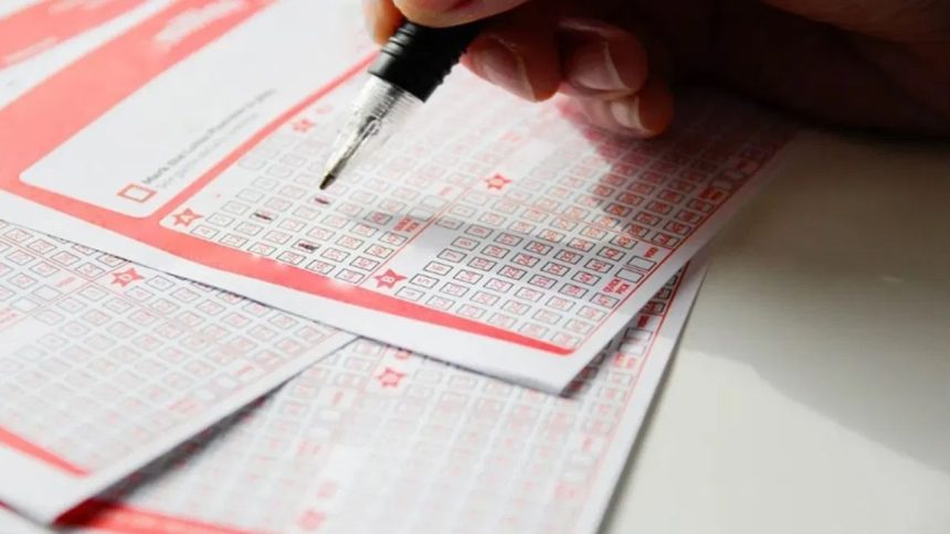 Nagaland Lottery Result LIVE 30.09.2024: Dear Dwarka Winners, Prize Rs 1 Crore