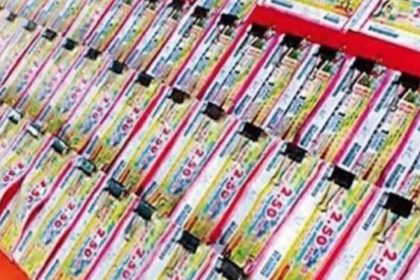 Nagaland Lottery Result LIVE 29.09.2024: Dear Yamuna Winners, Prize Rs 1 Crore
