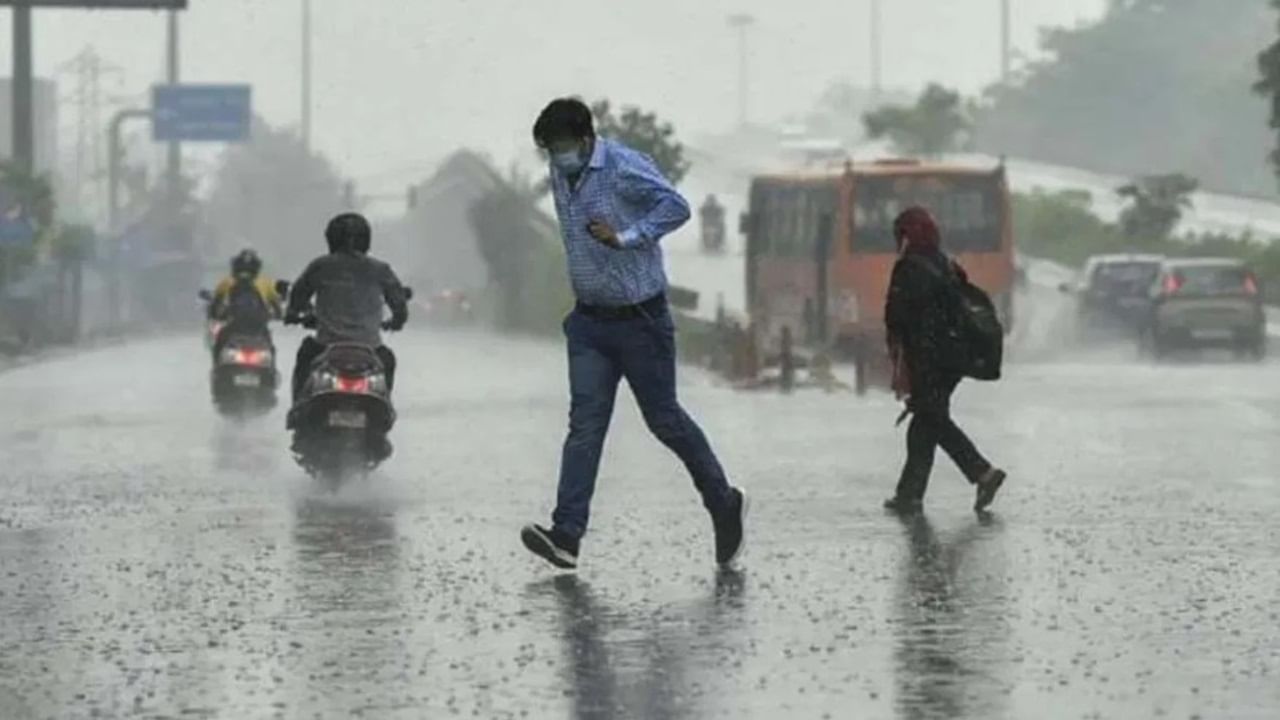 IMD Weather Forecast: Widespread to moderate rainfall likely in Maharashtra, Gujarat