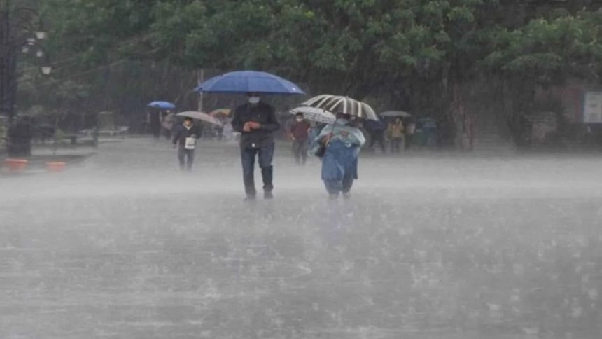 IMD weather forecast: Isolated heavy rainfall expected in Maharashtra, Gujarat today 1 IMD weather forecast: Isolated heavy rainfall expected in Maharashtra, Gujarat today