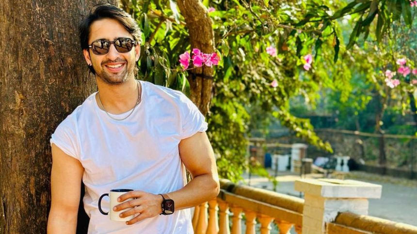 ‘Shah Rukh Khan of Indonesia’ Shaheer Sheikh’s net worth will make your jaw drop