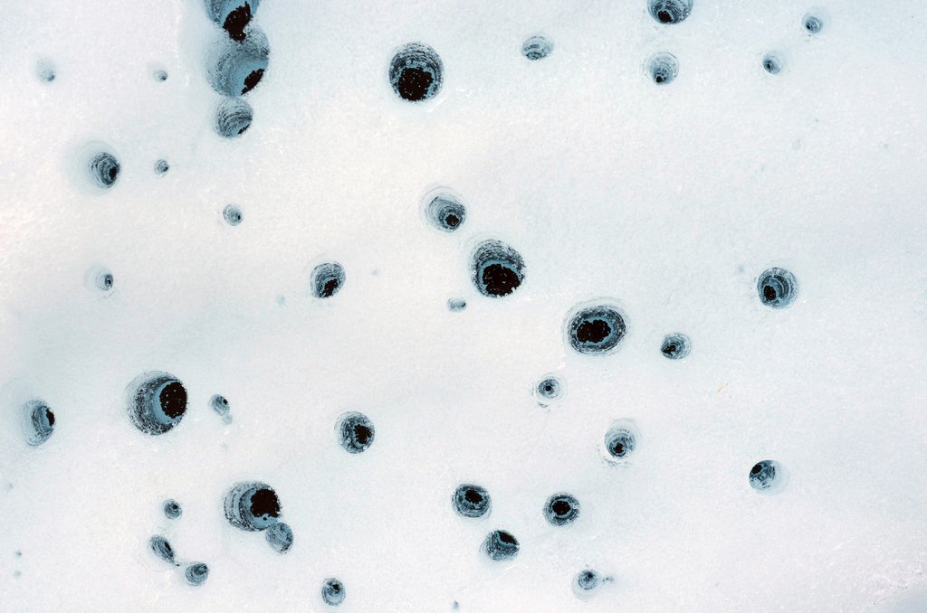 Life could exist in pools of liquid water beneath melting ice on Mars 2 These holes, captured on Alaska’s Matanuska Glacier in 2012, are formed by cryoconite — dust particles that melt into the ice over time
