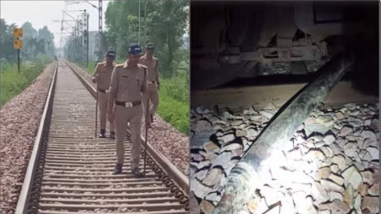 Alert loco pilot averts conspiracy to derail Dehradun-Tanakpur express in Uttarakhand Alert loco pilot averts conspiracy to derail Dehradun-Tanakpur express in Uttarakhand