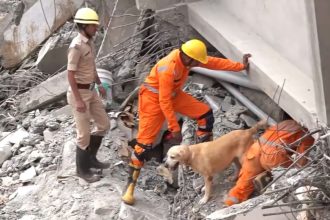 Bengaluru building collapse: Death toll rises to 5, dog squad joins rescue operation