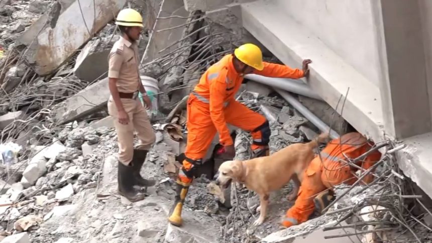 Bengaluru building collapse: Death toll rises to 5, dog squad joins rescue operation