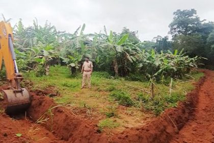 Bengaluru: 103 acres of forest land worth Rs 3,000 crore undergoes anti-encroachment