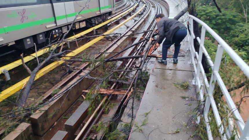 Bengaluru in orange alert: Tree fall disrupts metro line, wall collapses in tech park 1 Bengaluru in orange alert: Tree fall disrupts metro line, wall collapses in tech park