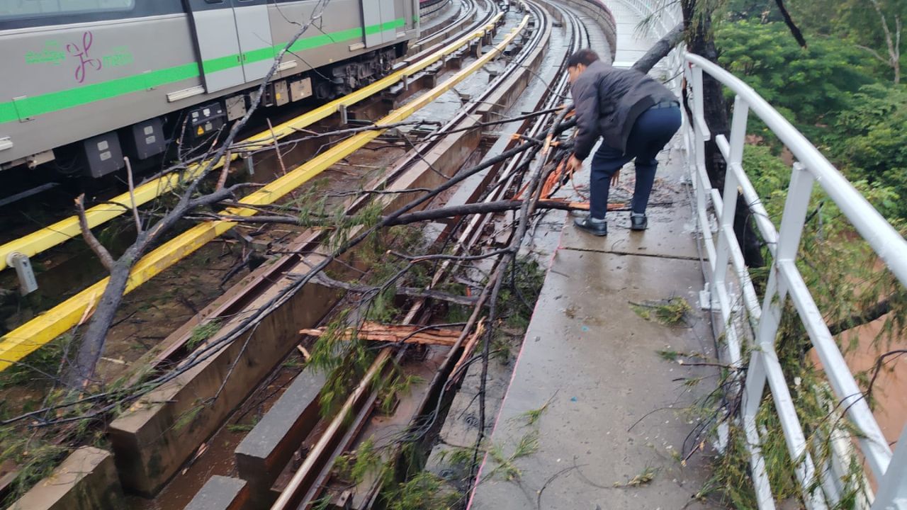 Bengaluru in orange alert: Tree fall disrupts metro line, wall collapses in tech park