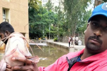 Bengaluru residents find fish in flooded basement, pic goes viral