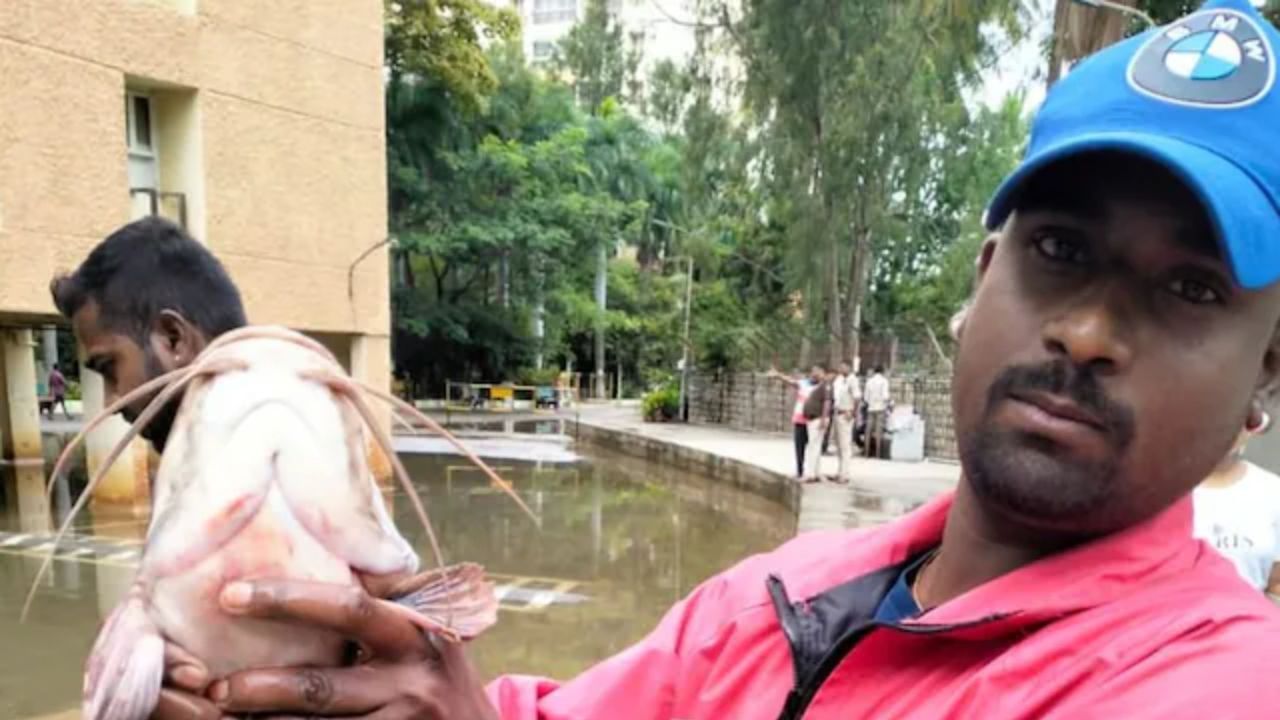 Bengaluru residents find fish in flooded basement, pic goes viral Bengaluru residents find fish in flooded basement, pic goes viral