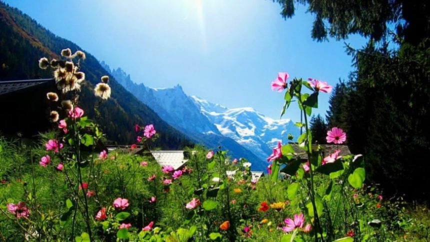 Uttarakhand weather: Mild cold sets in plains, snowfall in higher hills causes chills 1 Uttarakhand weather: Mild cold sets in plains, snowfall in higher hills causes chills