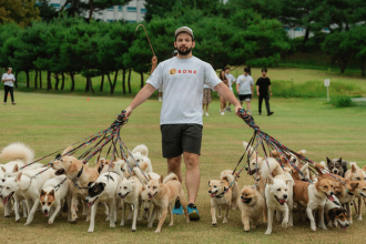 Canadian man walks 38 dogs at once, sets Guinness World Record