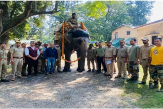 Corbett mourns beloved elephant Gomati’s death after 48 years of dedicated service