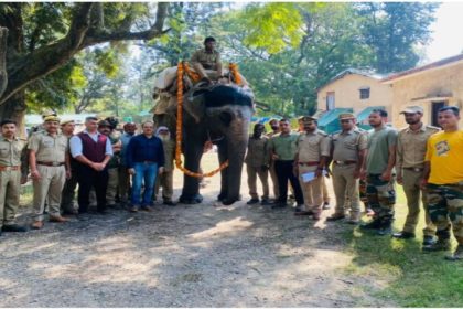 Corbett mourns beloved elephant Gomati’s death after 48 years of dedicated service