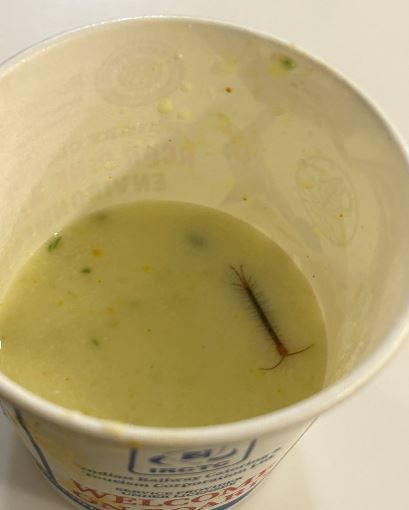 Delhi man finds centipede in food served at IRCTC's VIP lounge.