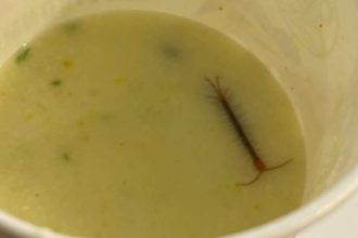 ‘That’s so sick’: Delhi man finds centipede in meal served at IRCTC’s VIP lounge
