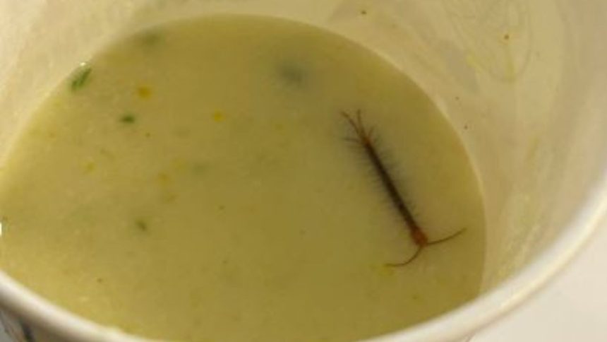 ‘That’s so sick’: Delhi man finds centipede in meal served at IRCTC’s VIP lounge