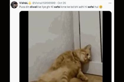 Diwali Safai jokes and memes in Hindi: Laugh through the cleaning chaos!