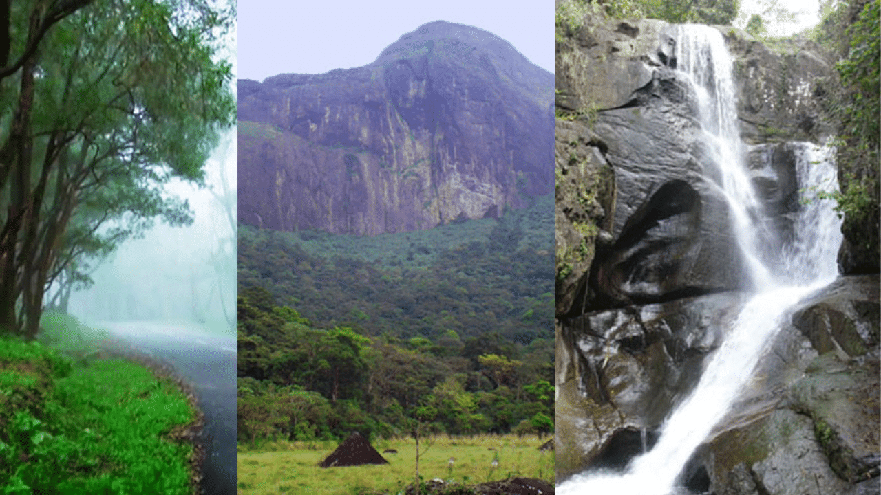 Escape Delhi’s pollution: 5 best Diwali vacation spots with excellent air quality Escape Delhi’s pollution: 5 best Diwali vacation spots with excellent air quality