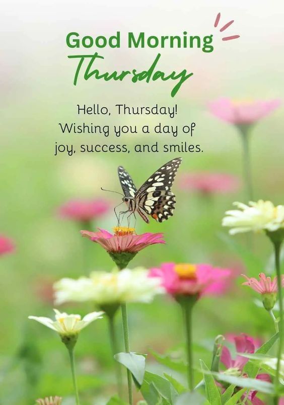 Good Morning Thursday images