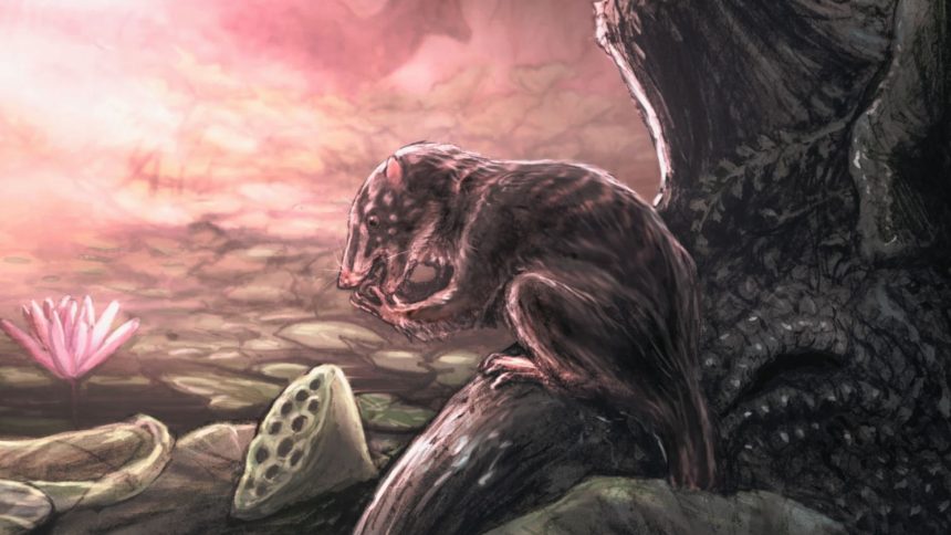 Fossil hunters discovered ancient mammal that walked with dinosaurs