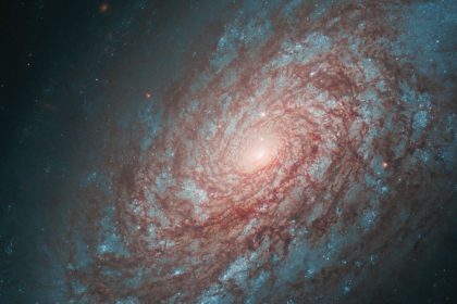 Hubble revisits dusty spiral galaxy NGC 4414