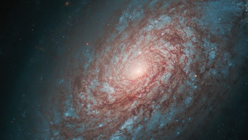 Hubble revisits dusty spiral galaxy NGC 4414