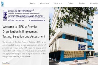 IBPS SO admit card 2024 released at ibps.in; exam on November 9
