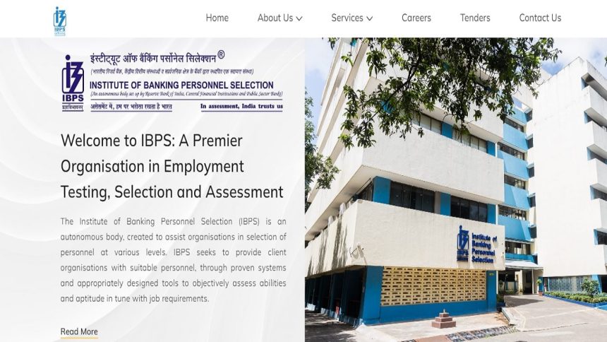 IBPS SO admit card 2024 released at ibps.in; exam on November 9