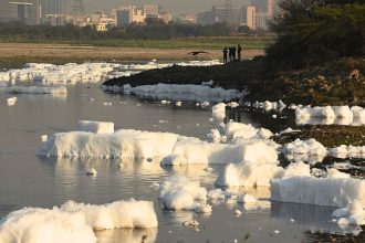 Bengaluru: Froth appears in Chandapura lake despite NGT’s strict orders to government