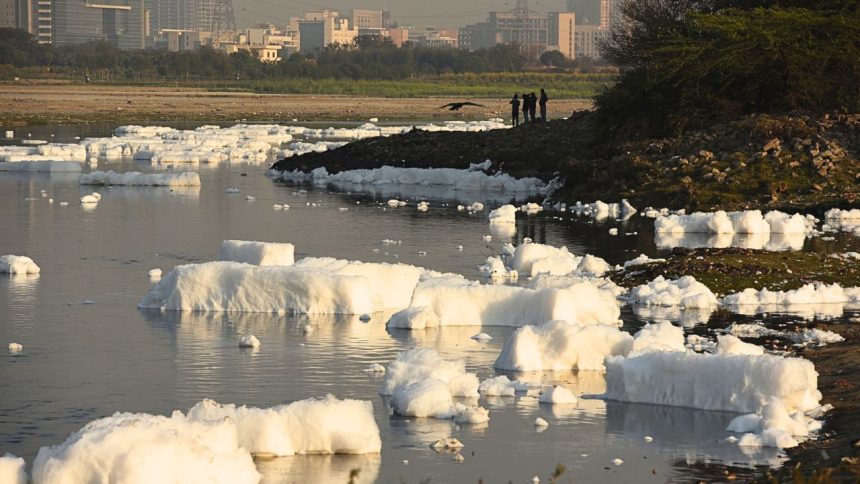 Bengaluru: Froth appears in Chandapura lake despite NGT’s strict orders to government