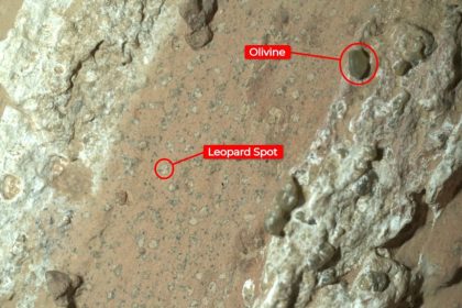 ‘Leopard Spots’ on Mars rock indicates ancient life