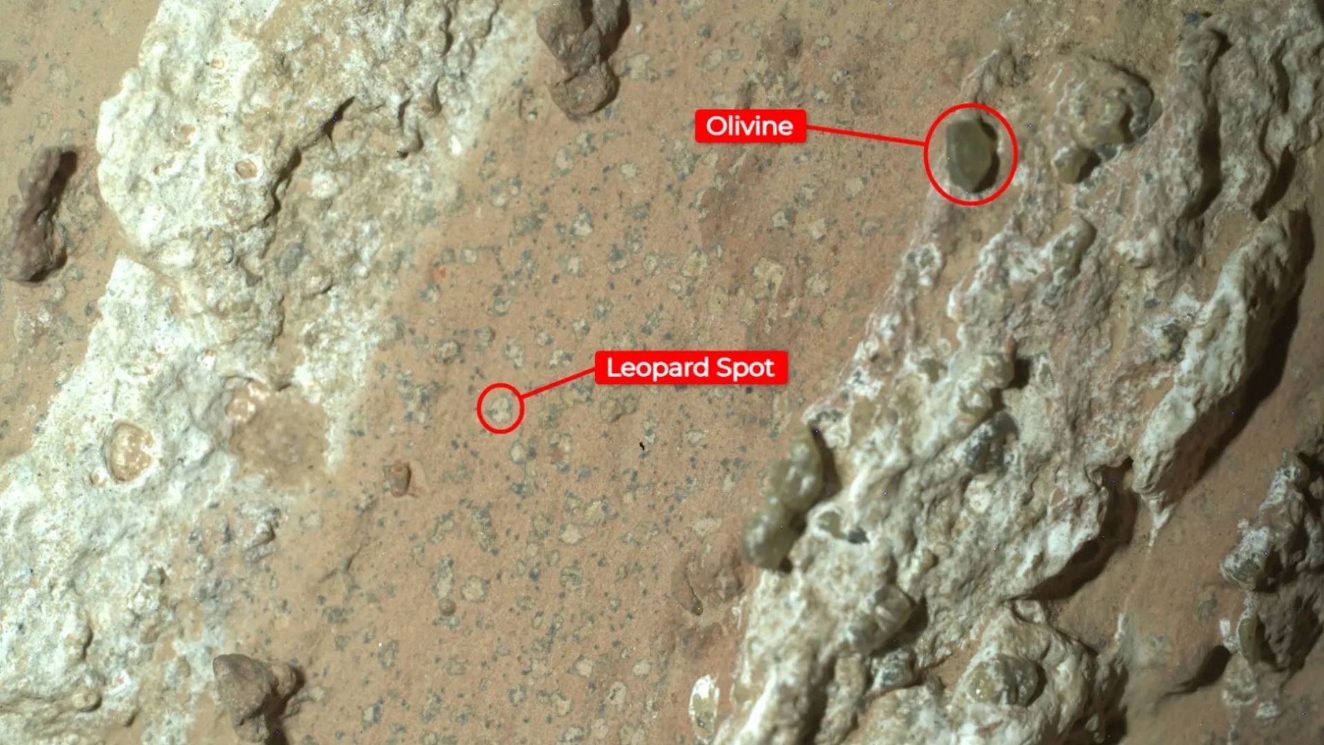 ‘Leopard Spots’ on Mars rock indicates ancient life