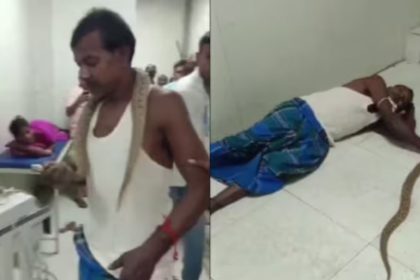 Most venomous snake bites man, he takes it to the hospital –  watch video