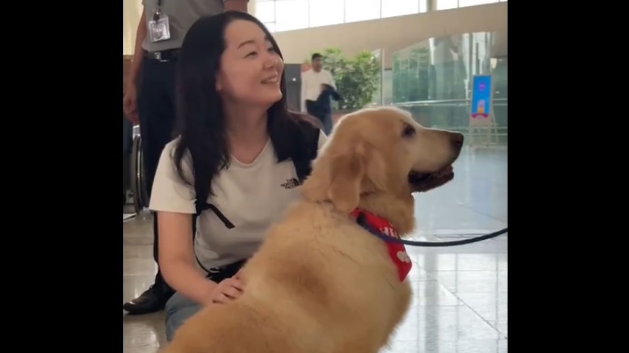 Mumbai Airport gets ‘Pawfect’, deploys cute dogs on weekends to calm anxious flyers Mumbai Airport gets ‘Pawfect’, deploys cute dogs on weekends to calm anxious flyers