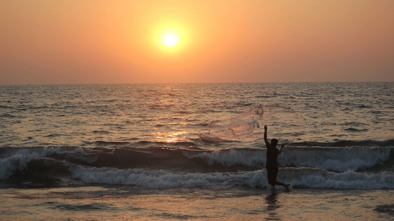 Affordable Mumbai-Goa travel: Flights, trains, cruise prices explained