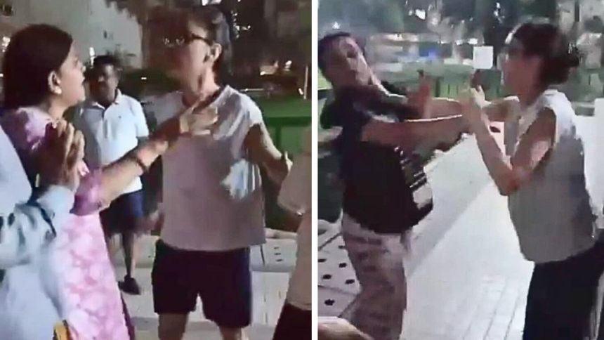 Noida:  Two girls slap elderly couple after row over pet dog