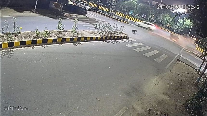 Noida car thrashes auto; driver suffer serious injuries | Check video footage