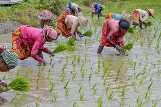 PM Rashtriya Krishi Vikas Yojana & Krishonnati Yojana: Centre approves farmer welfare schemes worth Rs 1 lakh crore | Details | India News