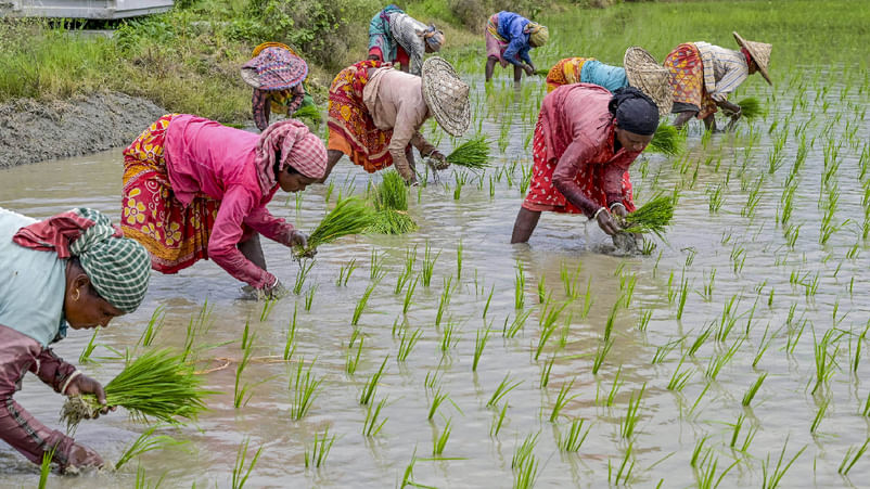 Centre approves key farmer welfare schemes worth Rs 1 lakh crore | Details