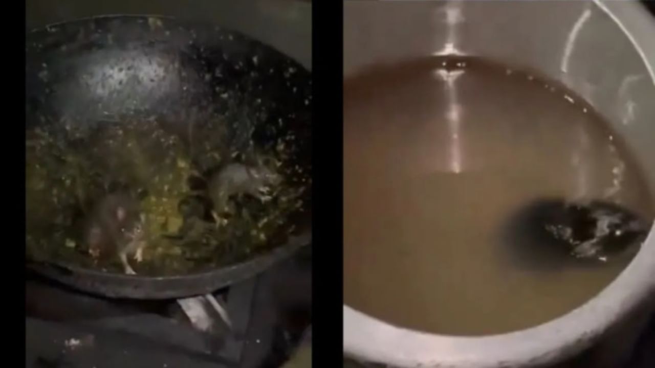 Live rats were found jumping in food at Roorkee IIT mess, students create ruckus