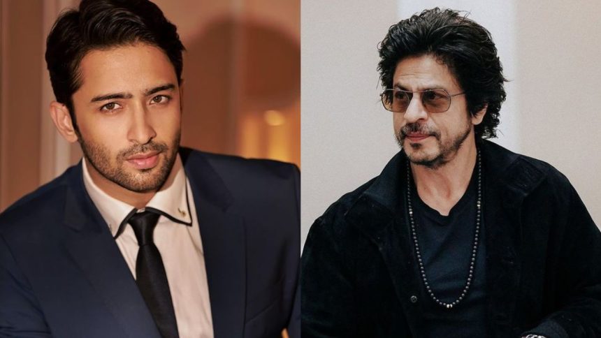 Why is Shaheer Sheikh called the Shah Rukh Khan of Indonesia? Actor REVEALS