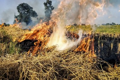 Stubble burning: SC lashes out at Punjab, Haryana govts, summons chief secretaries