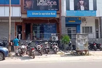 Termites destroy Rs 5 Lakh kept in locker in Noida bank locker